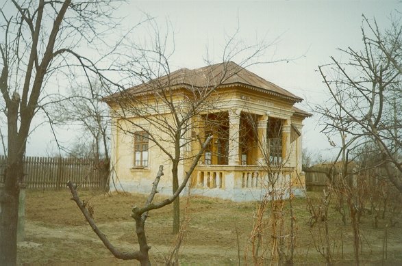 Photograph